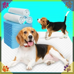 Hygiënische onderleggers voor honden XL 60×90 cm, superabsorberend, 50 stuks
