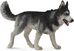 Collecta Siberische husky – figuur