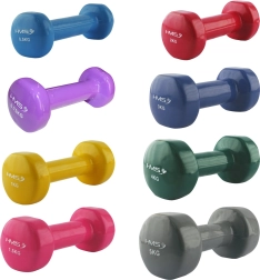 Gietijzeren halter met vinylcoating 2 kg