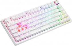 Witte mechanische RGB-toetsenbord PHENIX WHITE Gateron Red