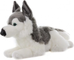 Pluchen husky 43 cm