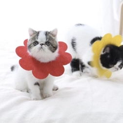 Zachte postoperatieve beschermkraag voor huisdieren, rood – maat L