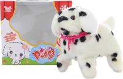 Wandelende dalmatiër met salto’s