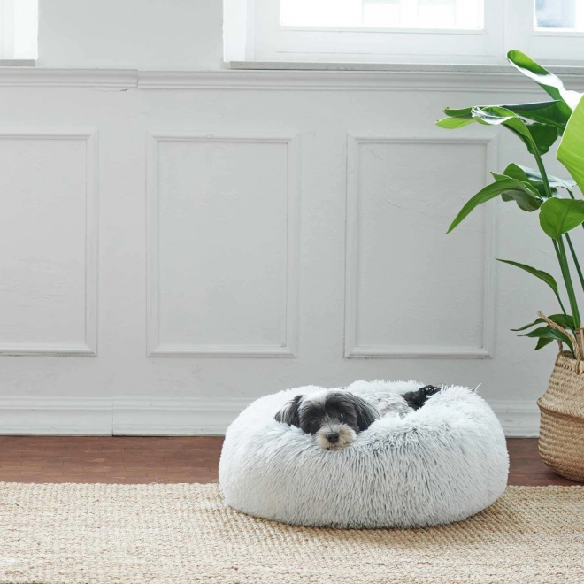 Design-voerbed voor huisdieren