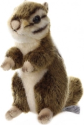 Remblokken voor vooras