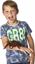 MAGANA enge op afstand bestuurbare tarantula-spin