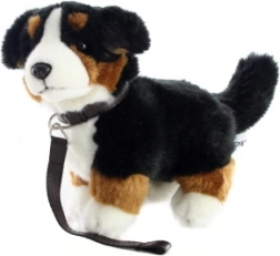 Pluche Berner Sennenhond met riem