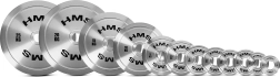 Stalen olympische schijf HMS 0,25 kg