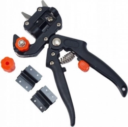 Boom- en struikentoojn