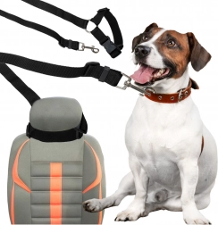 Autoband voor hond en kat