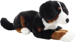 Pluchen Berner Sennenhond 65 cm
