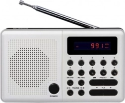 Radio Pliszka USB, FM wit