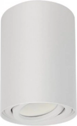 Plafondspot GU10 Wit