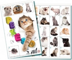 Memoryspel katten