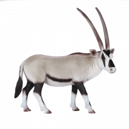 Mojo Arabische oryx