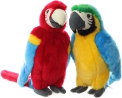 Pluchen papegaai 32 cm