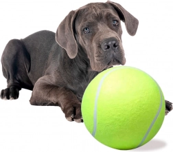 Reuzen tennisbal voor honden XXL 24 cm