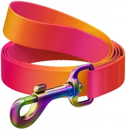 Hondenriem WAUDOG, 20 mm breed, 122 cm lang, oranje