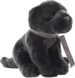 Pluchen labrador met hondenriem 30 cm – eco friendly