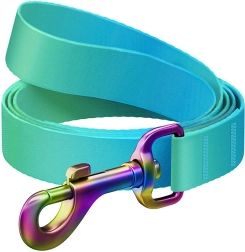Nylon hondenriem WAUDOG, 122 cm, 15 mm, blauw