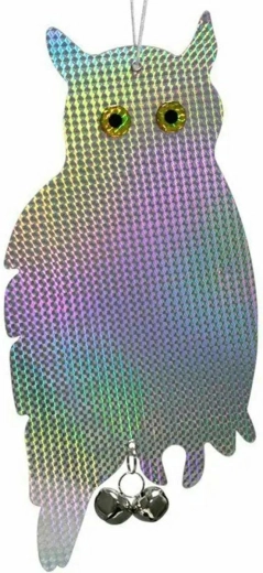 OD19 ODRADÍ PTÁKY ZITTENDE UIL