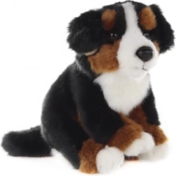 Pluchen Berner Sennenhond 16 cm