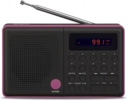 Radio Pliszka USB FM zwart