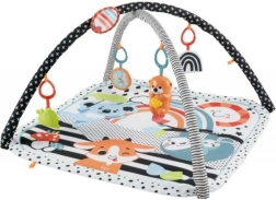 Fisher-Price 3-in-1 speelkleed met otter