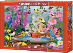 Puzzel 2000 stukjes Rhythm of Nature