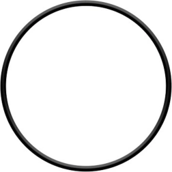 O-ring voor de filterkop ProStar 4 en ProStar 6