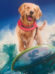 5D diamant schilderset 30 × 30 cm – mozaïek met steentjes