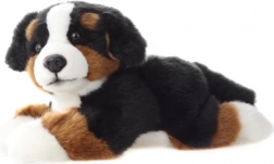 Pluche Berner Sennenhond 25 cm