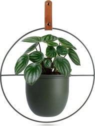 Groene metalen hangende bloempot/plantomhulsel Home Styling Collection 30 × 30 cm