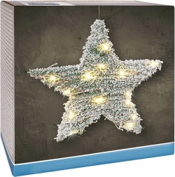 Lichtgevende kerstster 30 cm met 20 LED en timer