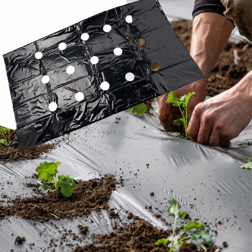 Vooraf voorbereide plantgaten