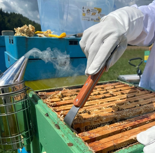 Duurzaam roestvrij stalen blad