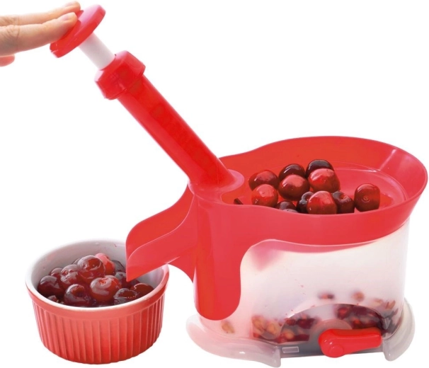 Snel en schoon pitten verwijderen