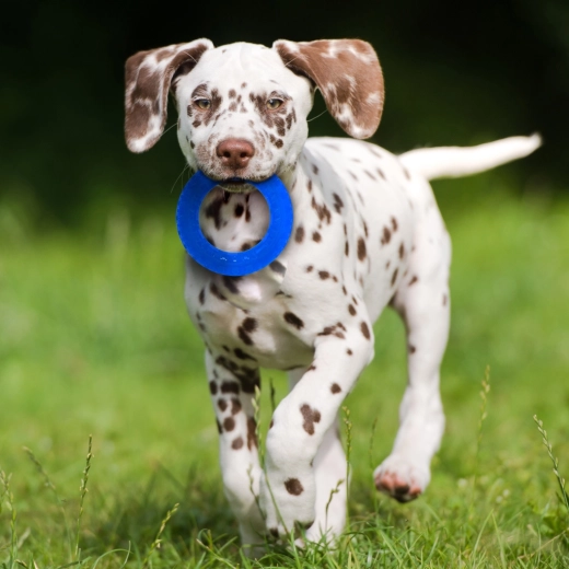 Contrasterende kleuren voor eenvoudig volgen