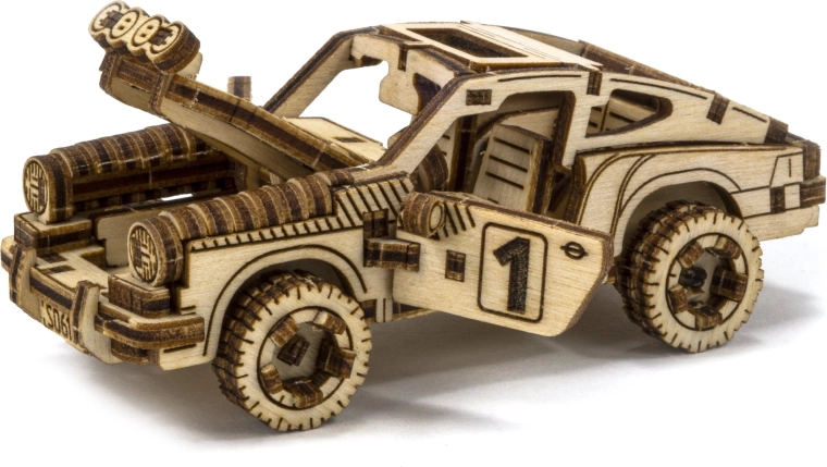 Gedetailleerd rallydesign