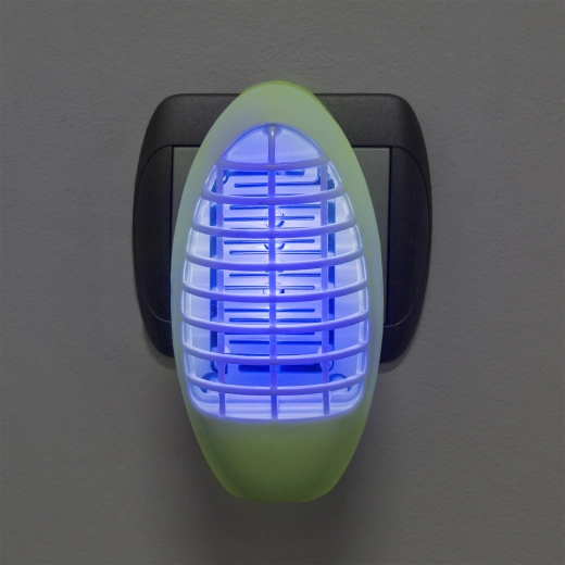 Uv-licht lokt kleine insecten