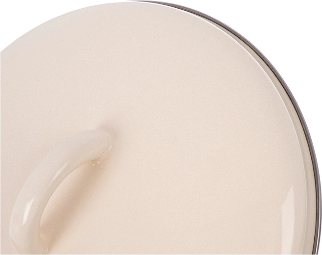 Hoogwaardige geëmailleerde staal