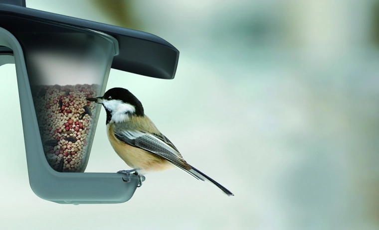 Voer droog dankzij het schuine dakje