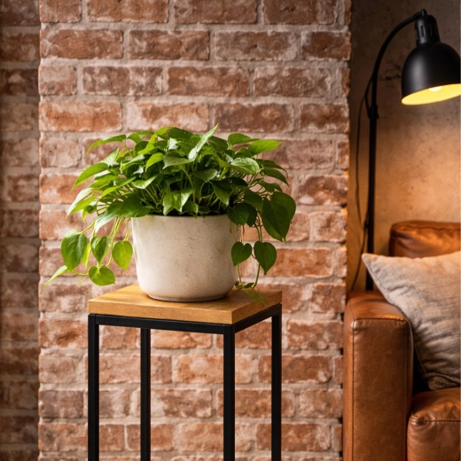 Hoogte 63 cm voor een betere presentatie van planten
