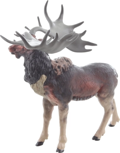 Stabiele houding en veilige afmetingen