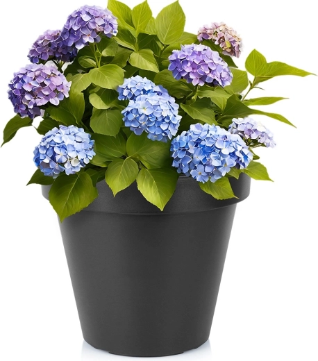 Zwarte ronde kunststof bloempot voor in de tuin 39 cm