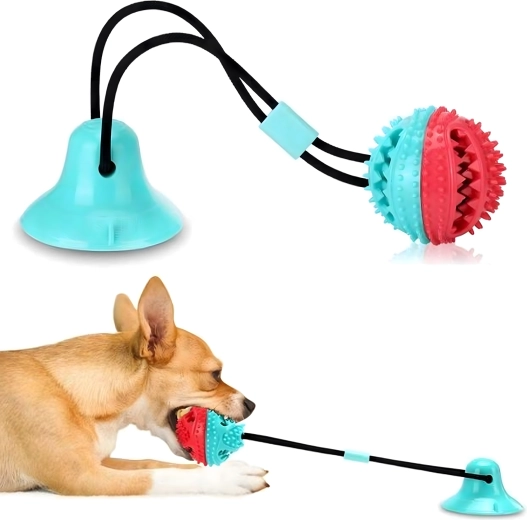 Tandenreiniging en tandvleesmassage