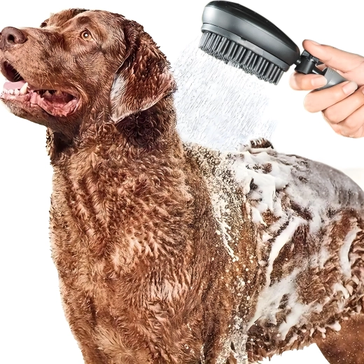 2-in-1 douche en borstel voor snel en zacht wassen