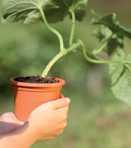 Licht en duurzaam materiaal