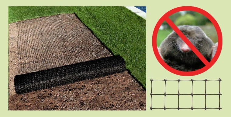 Betrouwbare barrière tegen mollen