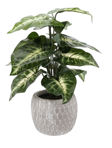 Onderhoudsvrije decoratie het hele jaar door